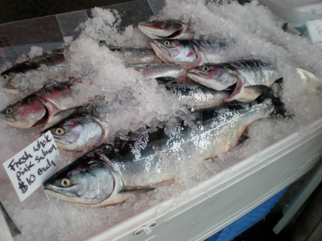 Fresh Puget Sound pink salmon for sale at Columbia City farmers market.